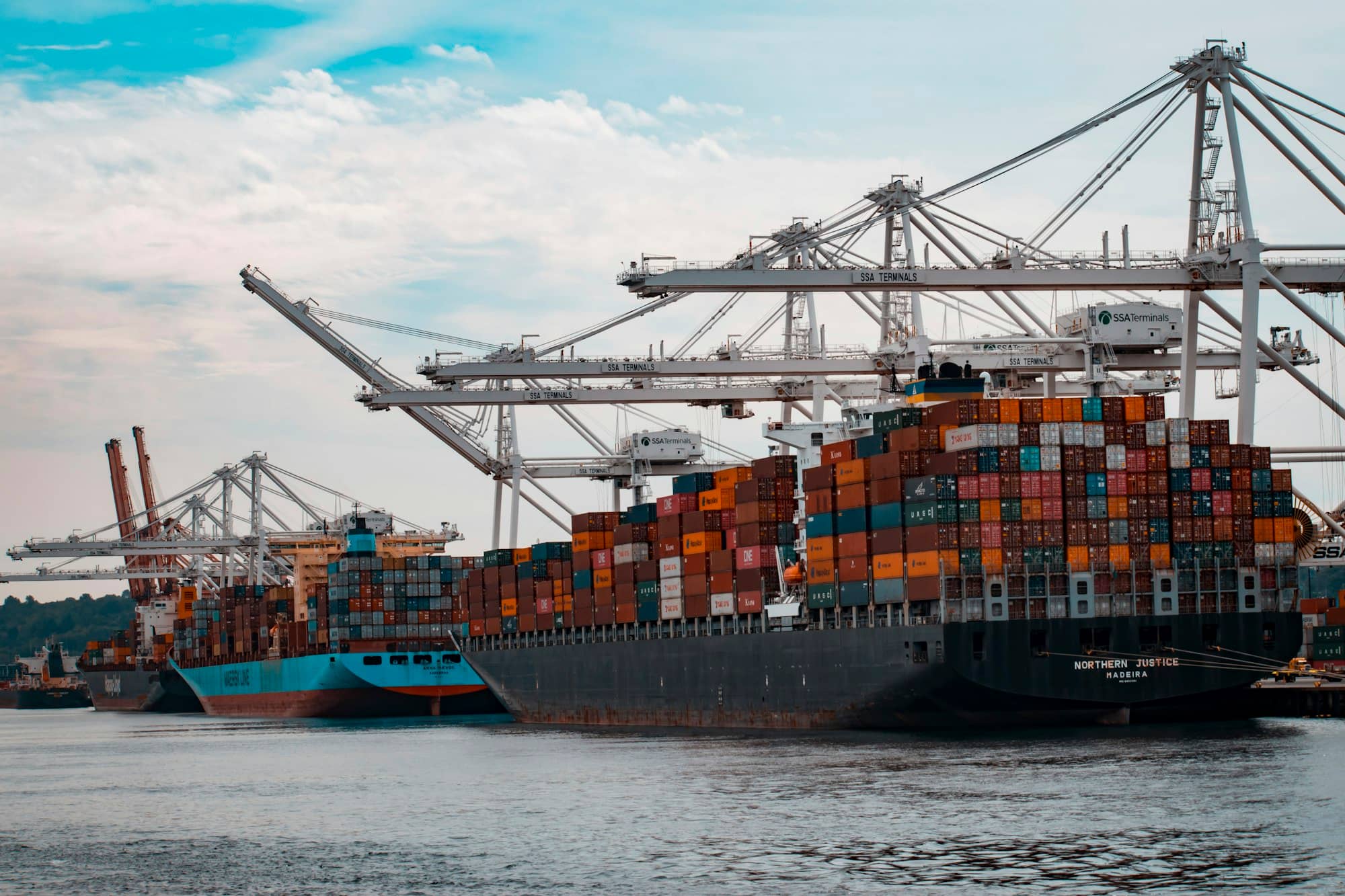 Container ships docked under port cranes